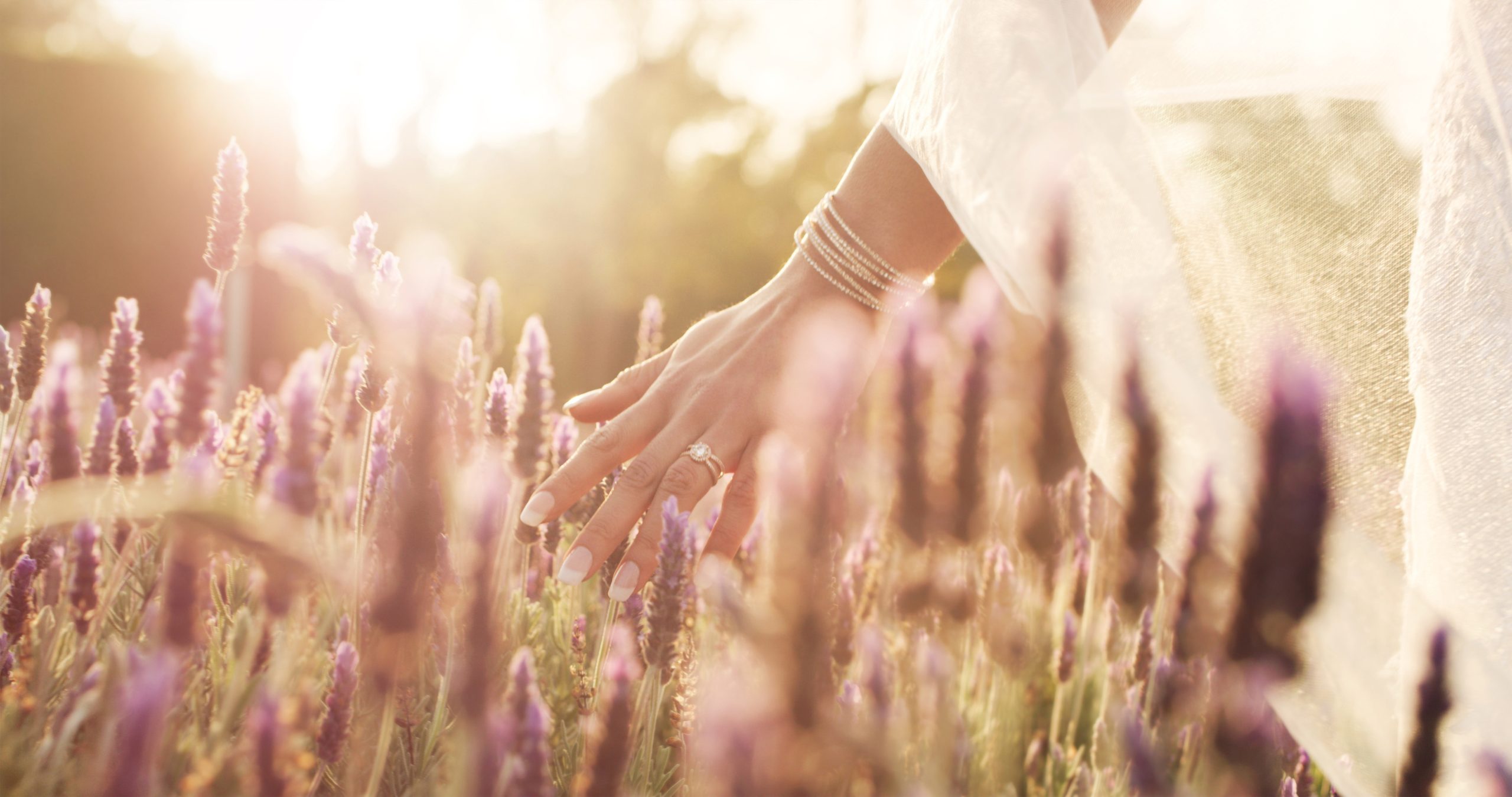 Wildflower Wellness Spa in Terre Haute, IN
